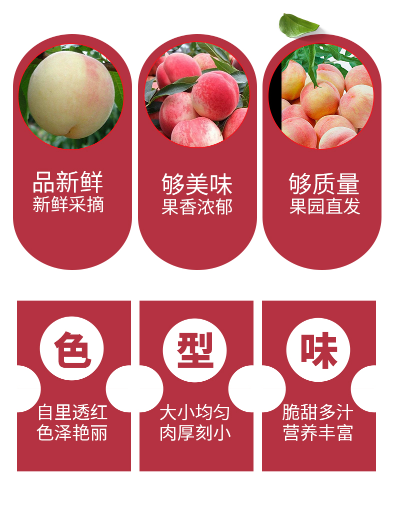 商品详情图