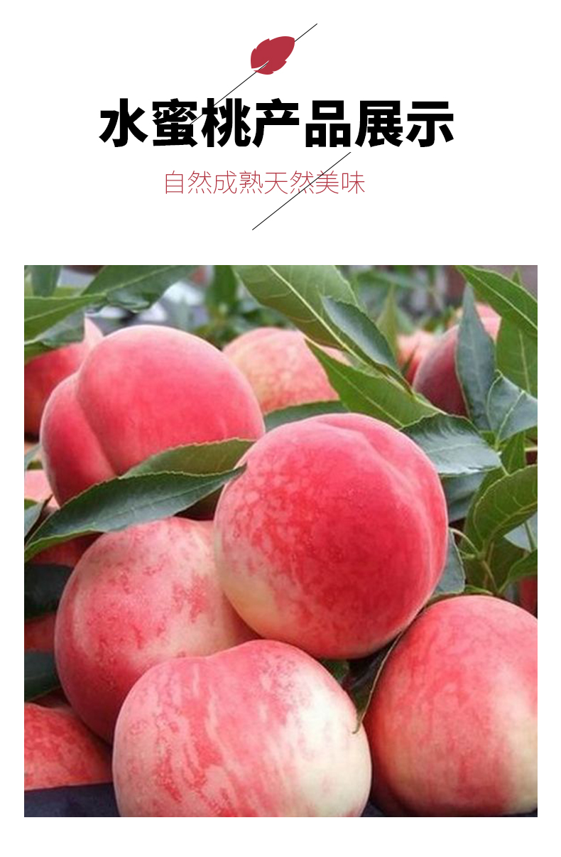 商品详情图